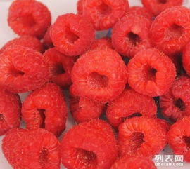 水果網(wǎng)購首選深圳省心多鮮果速送 便捷配送，品質生活